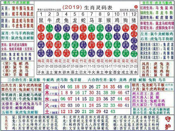 澳门正版资料大全生肖卡｜精选解释解析落实