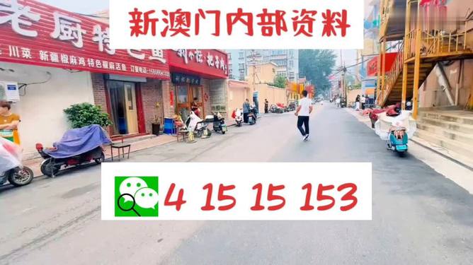 新澳好彩天天免费资料｜精选解释解析落实